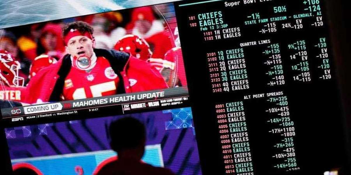 Bet It to Win It: Dive into the World of Sports Betting!